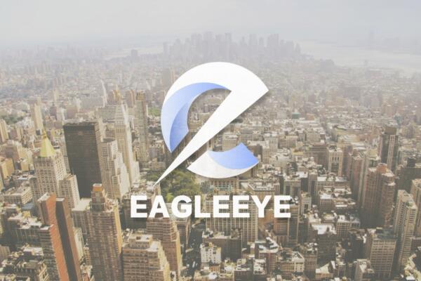 EAGLEEYE COIN: Advancing Finance through RWA Solutions