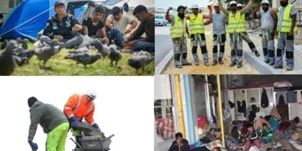 Uloga sindikata u uvozu stranih radnika