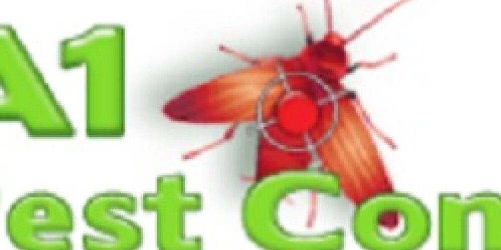 A1 Pest Control: Pest Control for a Safer, Pest-Free Space