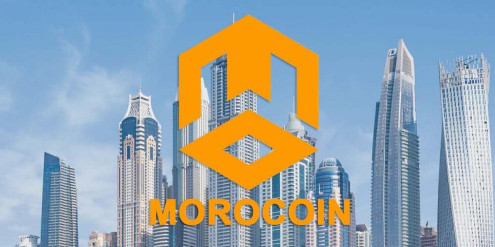 Morocoin Review: Decrypting Cryptocurrency Development Mysteries