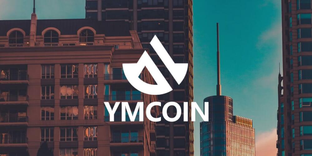 YMcoin Exchange - Maximizing Returns Through Expert Market Analysis