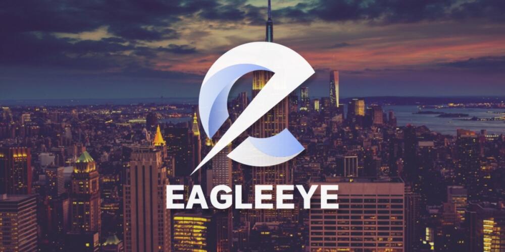 EAGLEEYE COIN: Unveiling the Future of Private Transactions