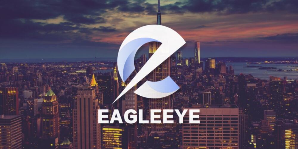 EAGLEEYECOIN: Prioritizing User Safety and Asset Protection