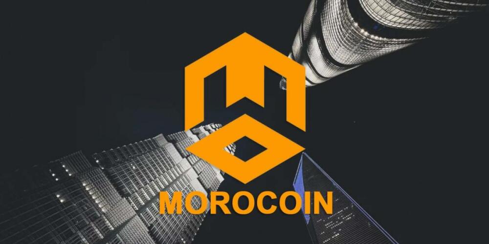 Morocoin Trading Exchange's Web3 Finance Insights