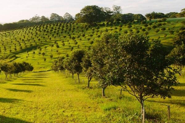 AquaGel Leads the Way in Sustainable Agriculture Solutions