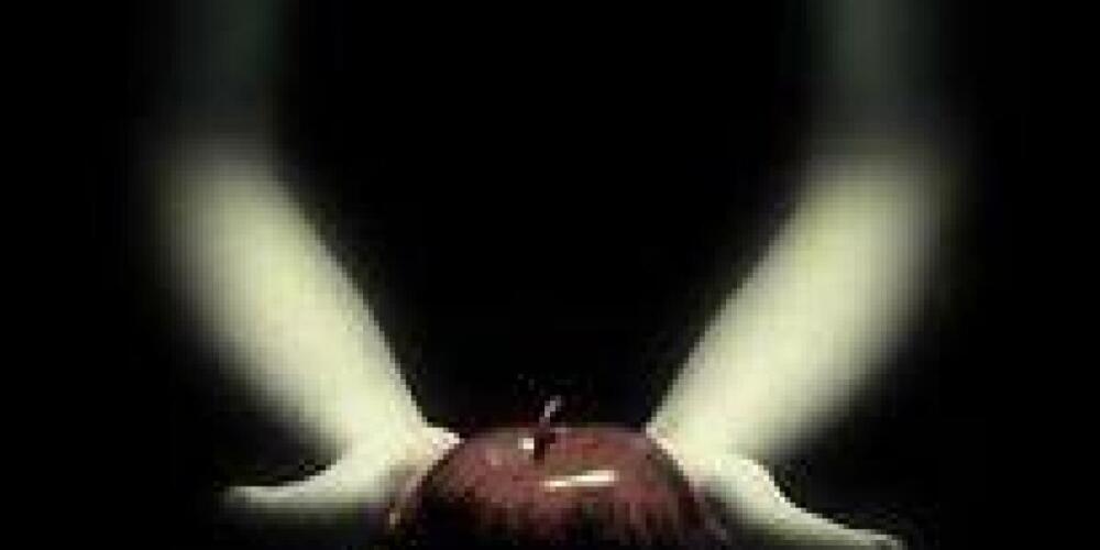 Karizma ili kontrola?