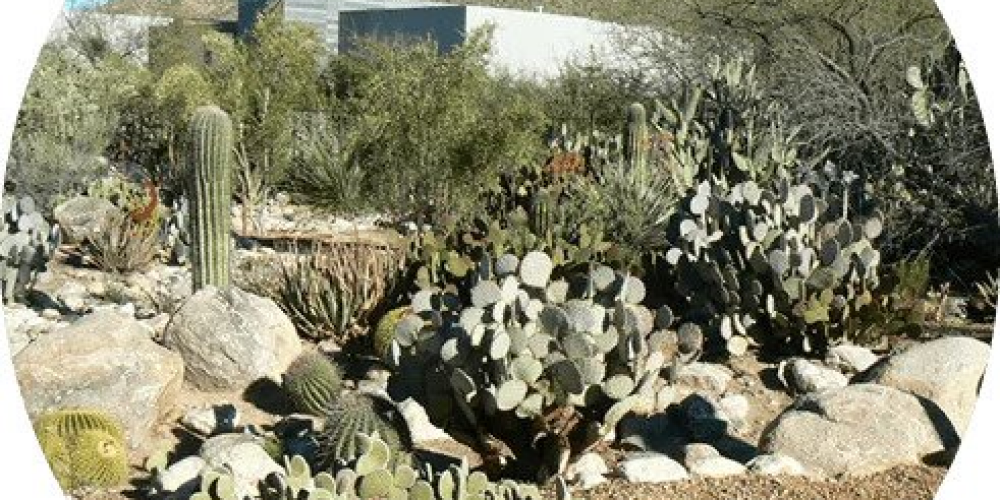 Acme Irrigation LLC offers irrigation systems installation for residential properties
