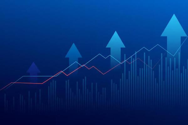 Niagara Hub Reviews: No False Promises—Just Real Results from Real Users