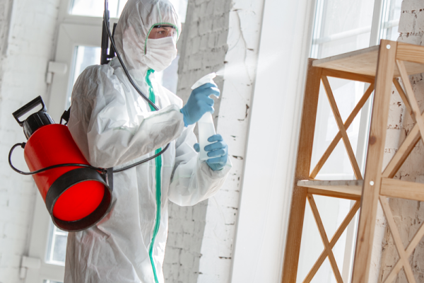 Certified Mold Removal Launches Revamped Website