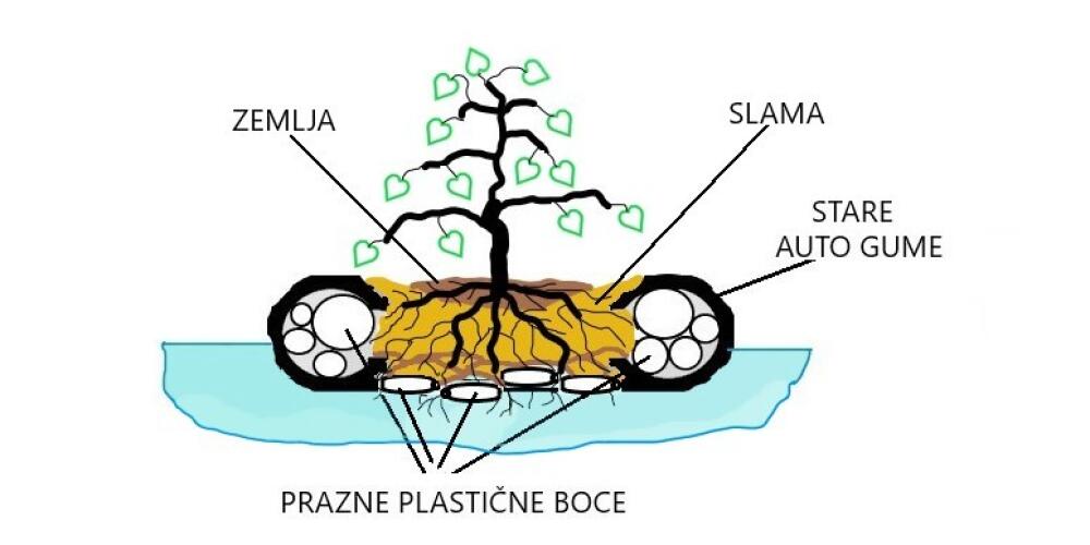 Kako u močvarama i jezerima napraviti ploveći vrt?