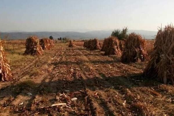 Prijedlog “Zakona o sjemenju…” je loš i štetan, mora se značajno doraditi!