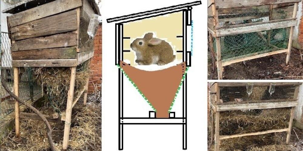 Raising  rabbits, guinea pigs, or ornamental hamsters without unpleasant odors and odors