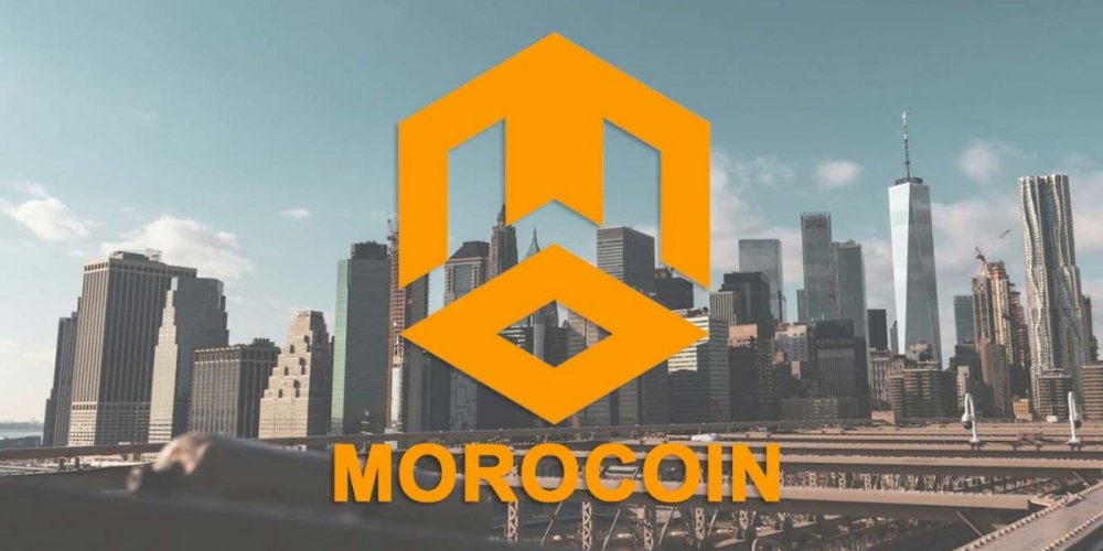 Morocoin NEWS - Institutional Shifts and Bitcoin's Recovery