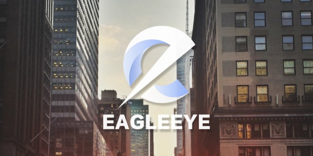 EAGLEEYE COIN: Securing Transactions with Privacy Coin Solutions
