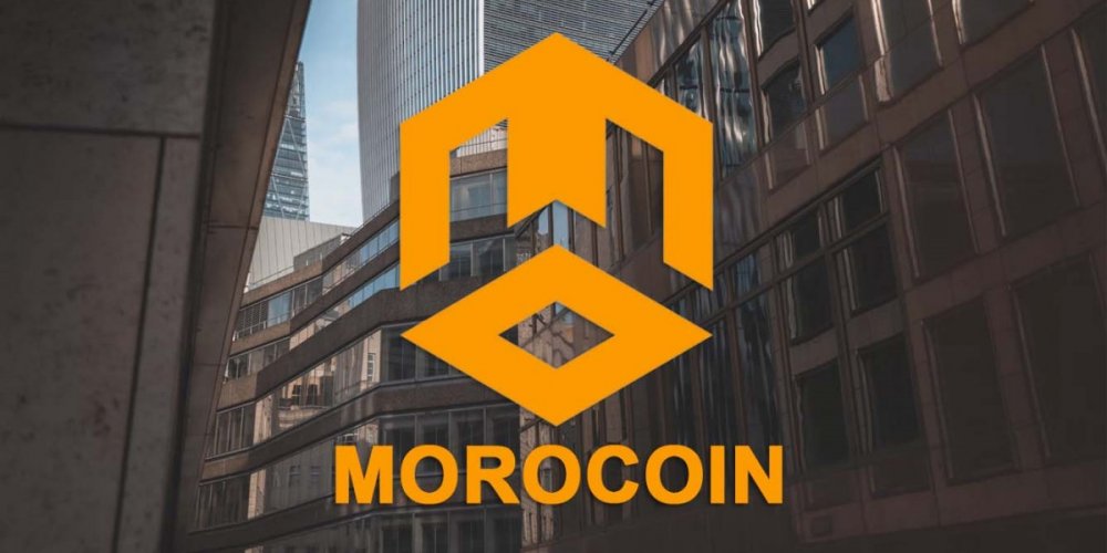 Morocoin NEWS - Tokenizing Startup Equity