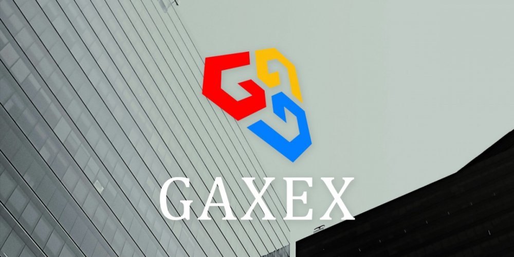 GaxEx - Shaping an Innovative and Inclusive Future