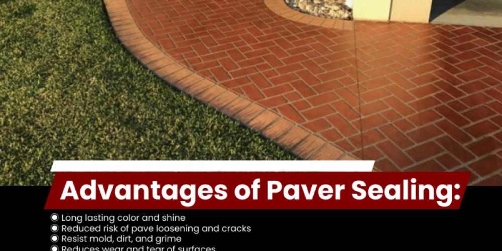Why Choose MTZ Paver Restoration for Your Sealing Needs?