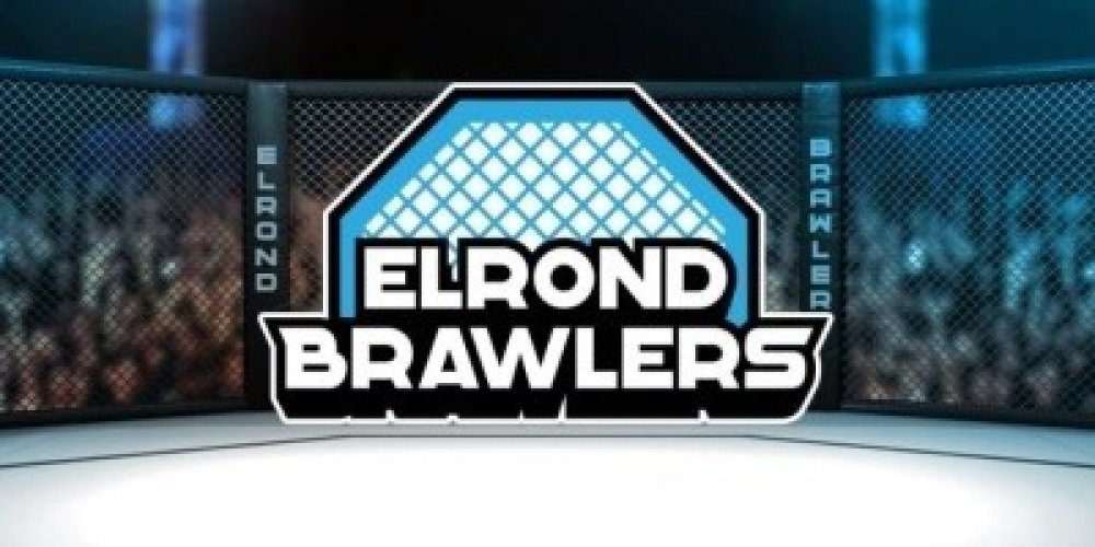 Elrond Brawlers devient le premier projet à fournir des services publics dès le premier jour sur la blockchain Elrond