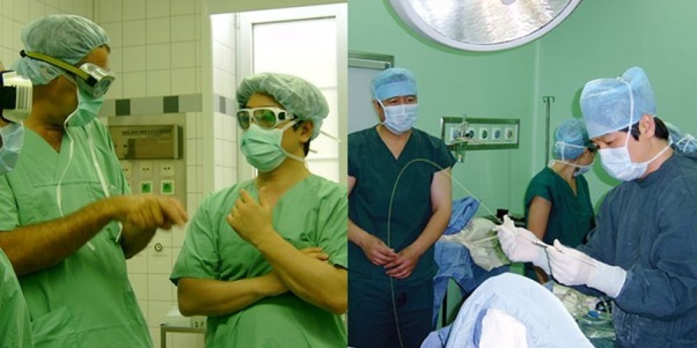 Nouveau Paradigme introduit par Hyung-jin Mo, Ph.D, Pionnier de la Chirurgie Vulvaire