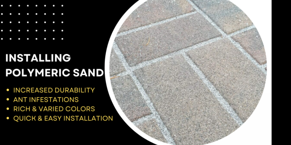 Transform Your Pavers with Re-Sanding Joints Service and Polymeric Sand | MTZ Paver Restoration