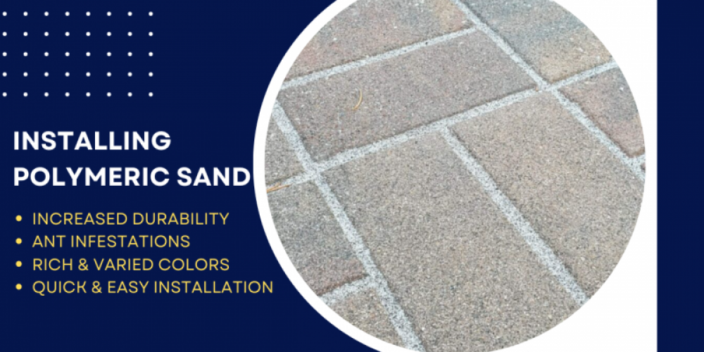 MTZ Paver Restoration: Elevate Your Pavers with Re-Sanding Joints and Polymeric Sand