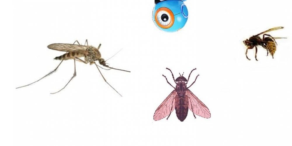 Hoćemo li uskoro imati robote za lov na komarce?