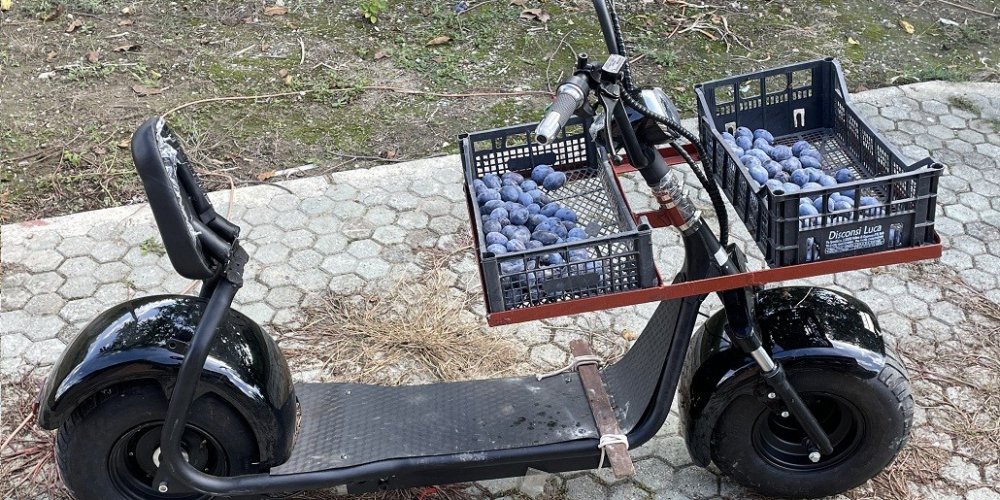 Electric scooter for garden, orchard, vineyard and thicket