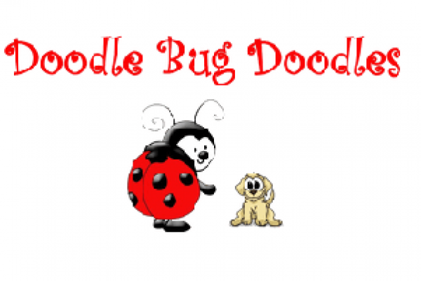 Introducing the Most Adorable Goldendoodles from Doodle Bug Doodles