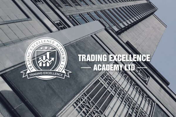 TEA Business College - Navigating Investment Tools with Portfolio Expertise