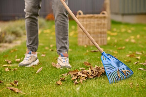 H&M Rubbish Offers Professional Garden Waste Cleaning Services: Transforming Your Outdoor Spaces