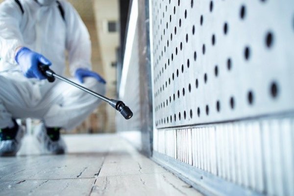 What Are The 3 Steps Followed By Pest Control Services