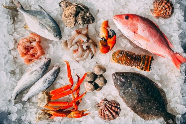 Freshest Seafoods in Cape Town By GreenFish