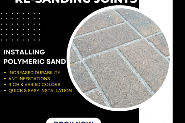 Transform Your Pavers with Re-Sanding Joints Service and Polymeric Sand | MTZ Paver Restoration