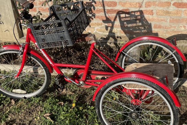 How to make a tricycle for gardeners, florists, fruit growers and windgrowers?